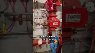 SPRINKLER risers clack valves  plant rooms tools trade DIY [upl. by Nemaj]