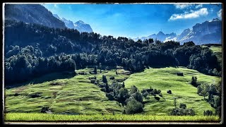 Mountain Sounds for Studying Sleeping – Cowbells Birds – complete Silence – Breeze  Forest [upl. by Soisinoid]