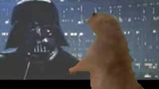 Dramatic Prairie Dog meets Darth Vader [upl. by Arimlede757]