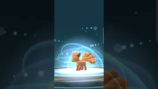 Evolving vulpix to Ninetails [upl. by Nnylsaj]