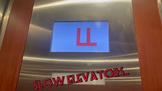 Slow Schindler Hydraulic Elevators at Macy’s Old Orchard Mall Skokie IL [upl. by Pohsib]