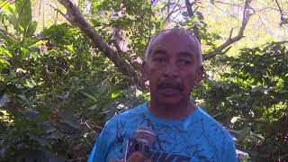 ENTREVISTA JEFE ZAFRA AGROFORESTAL MAISI PREPARTIVOS [upl. by Aliehs]