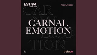 Carnal Emotion Fehrplay Extended Remix [upl. by Yared321]