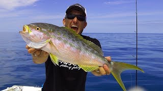 Yellowtail Snapper Biggest Ive EVER SEEN catch clean cook Plus Monster Permit [upl. by Idorb422]