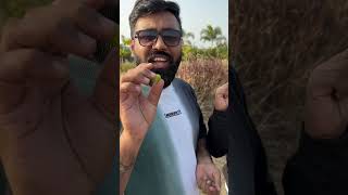 Visiting Sula Vineyards Wine Tasting Vineyard Tour amp Scenic Experience PART 1vloglove funwine [upl. by Konrad]