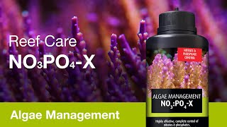 NOPOX – rid of nuisance algae the reefsafe way [upl. by Domenico113]