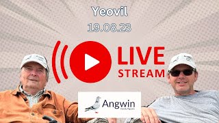 Pigeon racing live  Angwin Family Pigeons is going live [upl. by Ecinnahs]