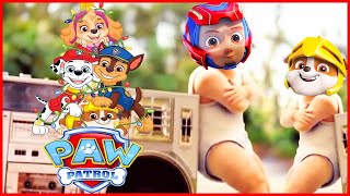 Megamix PAW Patrol  Coffin Dance Meme Parody [upl. by Ahgiel12]