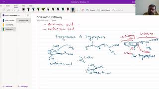 Shikimate Pathway  Biosynthesis Of Tryptophan KirtiPatelChemistry [upl. by Mello]