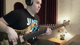 Jamiroquai  Love Foolosophy bass cover [upl. by Shotton]