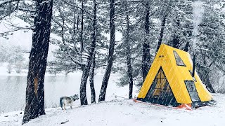 3 Days Solo Camping in Heavy Snow and Rain  Relaxing Camping in Snowfall and Rain Sound [upl. by Sundin]