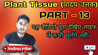 Plant tissue पादप ऊतक Plant cell  Type of plant tissue  by khan sir [upl. by Meta]