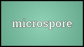 Microspore Meaning [upl. by Salman]