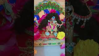 Aiso chatak matak so thakur 🦚🙏🏻🌿😍🥰🥰kanha laddu 😍🥰 [upl. by Lissner]