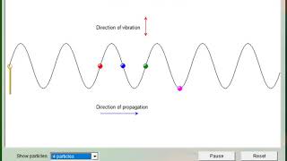 Transverse waves animation [upl. by Nylecsoj]