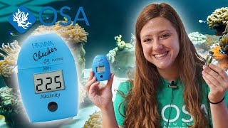 How to Test Alkalinity in YOUR Reef Aquarium [upl. by Ronni]