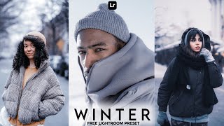 Winter Preset  Lightroom Mobile Preset Free DNG  winter photography preset  lightroom preset [upl. by Atal]