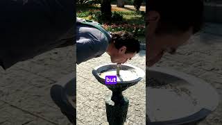 The Wishing Well Surprise A Hilarious Twist viral facts emotionalawareness [upl. by Ikkela702]