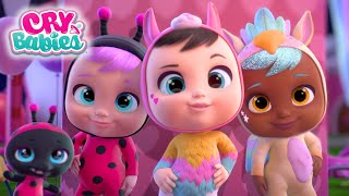 Together We Will Win 🏆 Cry Babies Magic Tears 💧 Kitoons New Friends  Cartoons for Kids in English [upl. by Deth]