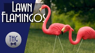 Classic Kitsch Lawn Flamingos [upl. by Shewchuk]