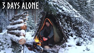 Finding Shelter in Snow 3 Day WINTER Camping Bushcraft Survival Shelter [upl. by Hilar509]