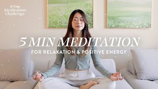 5 Minute Meditation for Relaxation amp Positive Energy  30 Day Meditation Challenge [upl. by Xenos]