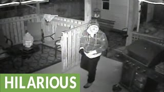 Security cam captures approaching thief getting shot with paintball gun [upl. by Eendys69]