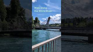 Walk along the Rhine river  Switzerland 🇨🇭 [upl. by Alf124]