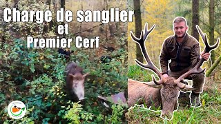 Charge de sanglier et tir dun premier Cerf [upl. by Nadual243]