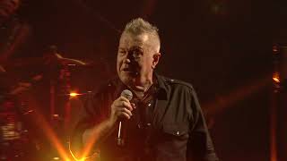 Cold Chisel performing Flame Trees  Armidale Australia 2024 [upl. by Seraphina]