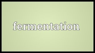 Fermentation Meaning [upl. by Ecnarual]