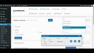THEME PRESETS IN WOODMART THEME [upl. by Afihtan]