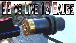 BB Fired at a Live 12 Gauge Shell [upl. by Hege]