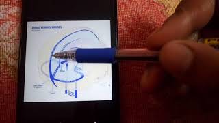 DURAL VENOUS SINUSES simplest explanation part 2 [upl. by Adnarom682]