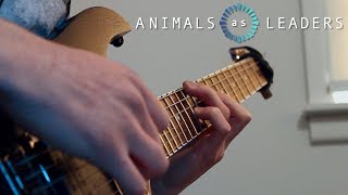 Animals as Leaders  Nephele Clean Section Cover [upl. by Clarabelle]