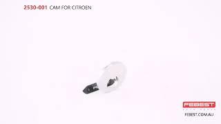 2530001 CAM FOR CITROEN [upl. by Adam]