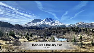 Hiking Hummocks to Boundary West to Johnston Ridge Observatory MSH [upl. by Khoury]