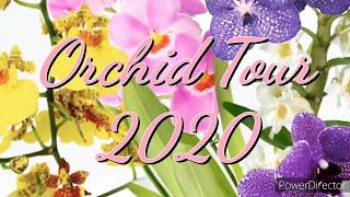 Orchid Tour 2020 [upl. by Orth]