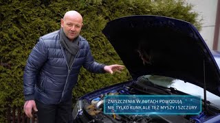 Zobacz jak zabezpieczyć auto przed gryzoniami 101Gadżetów [upl. by Bopp674]