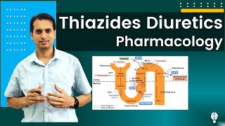 Diuretic Drugs Pharmacology Part 2  Pharmacology of Thiazides Diuretics  Thiazides Diuretics [upl. by Akina]