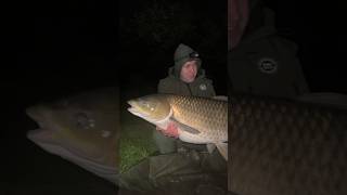 Grasmaaier🚨  zou jij hem willen vangen carp [upl. by Adamo380]