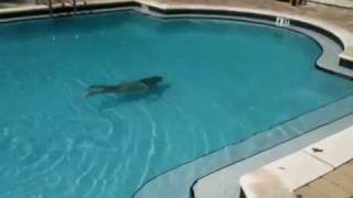 8 year old swims length of pool in 1 breath [upl. by Gervase]