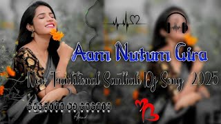 AamNutumGiraTolen🥀NewTradionalSanthaliDjSong🥀2024SusmitaDj🎶 [upl. by Katt]