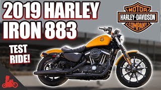 2019 HarleyDavidson Iron 883 TEST RIDE [upl. by Daffie]