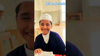 Darse Nizami madrasa Arabia Darul Uloomai shorts trending like youtubeshorts [upl. by Ahk]