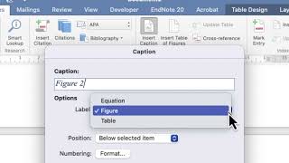 Legal Researh Assignment amp OSCOLA Referencing [upl. by Neeroc]