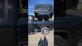 GENY gooseneck ball connection genyhitch torsionflex brinkley camping fifthwheel [upl. by Stclair]