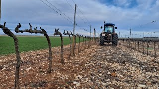 Barredora de Sarmientos Ribera del Duero [upl. by Nnairda]