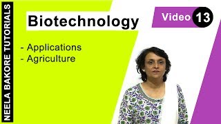 Biotechnology  NEET  Applications in Agriculture  Neela Bakore Tutorials [upl. by Aisatna685]