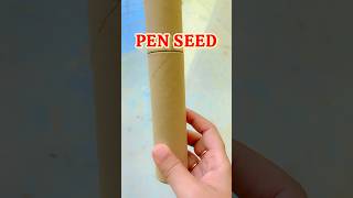 Pen ownvoice seeds plants trending shorts short youtubeshorts youtube home minivlog trend [upl. by Enaitsirk]